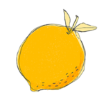 sketched lemon graphic