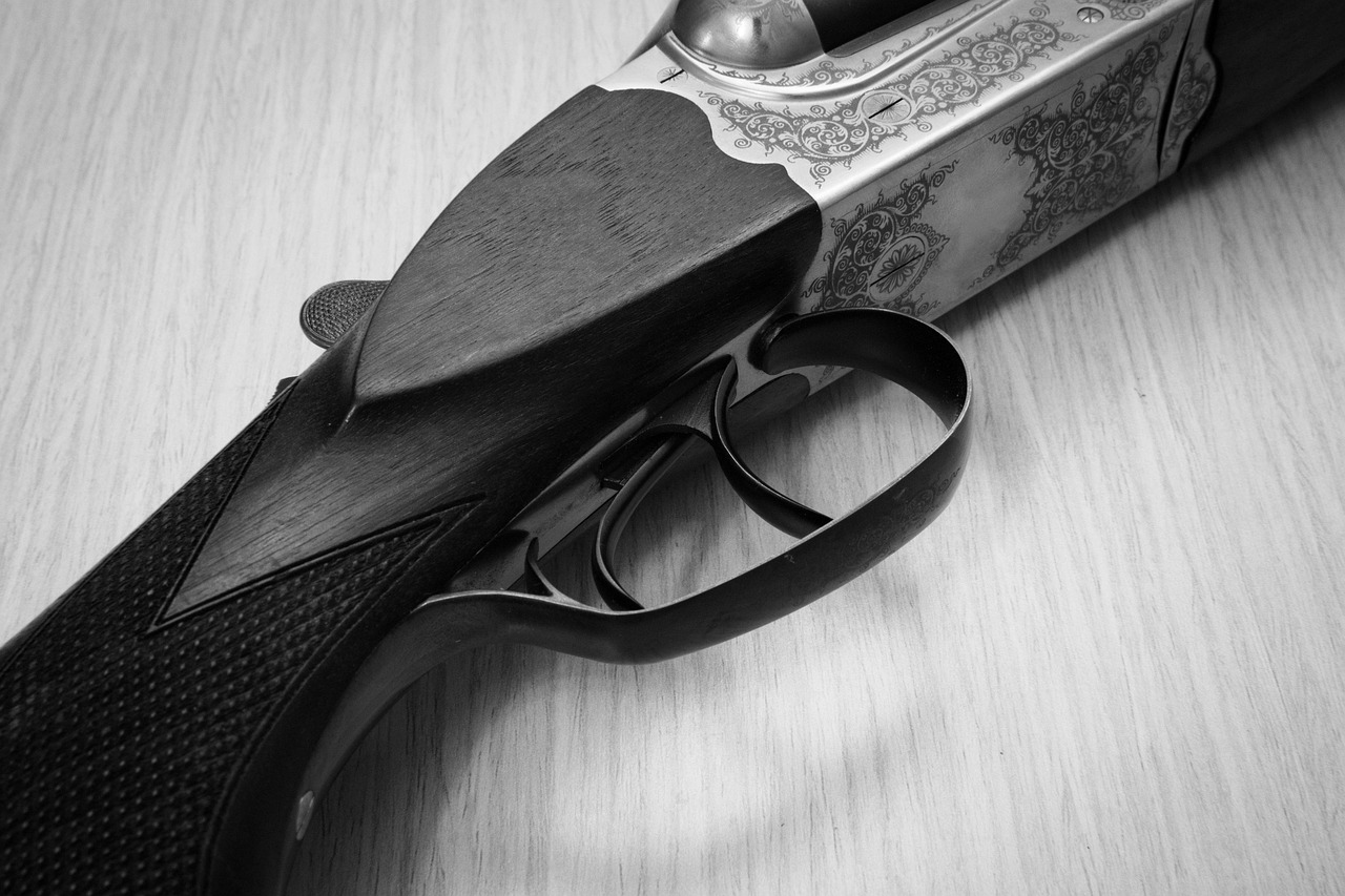 vintage gun, weapon, old-fashioned gun, hand gun, vintage hand gun, double-barrelled gun, black and white