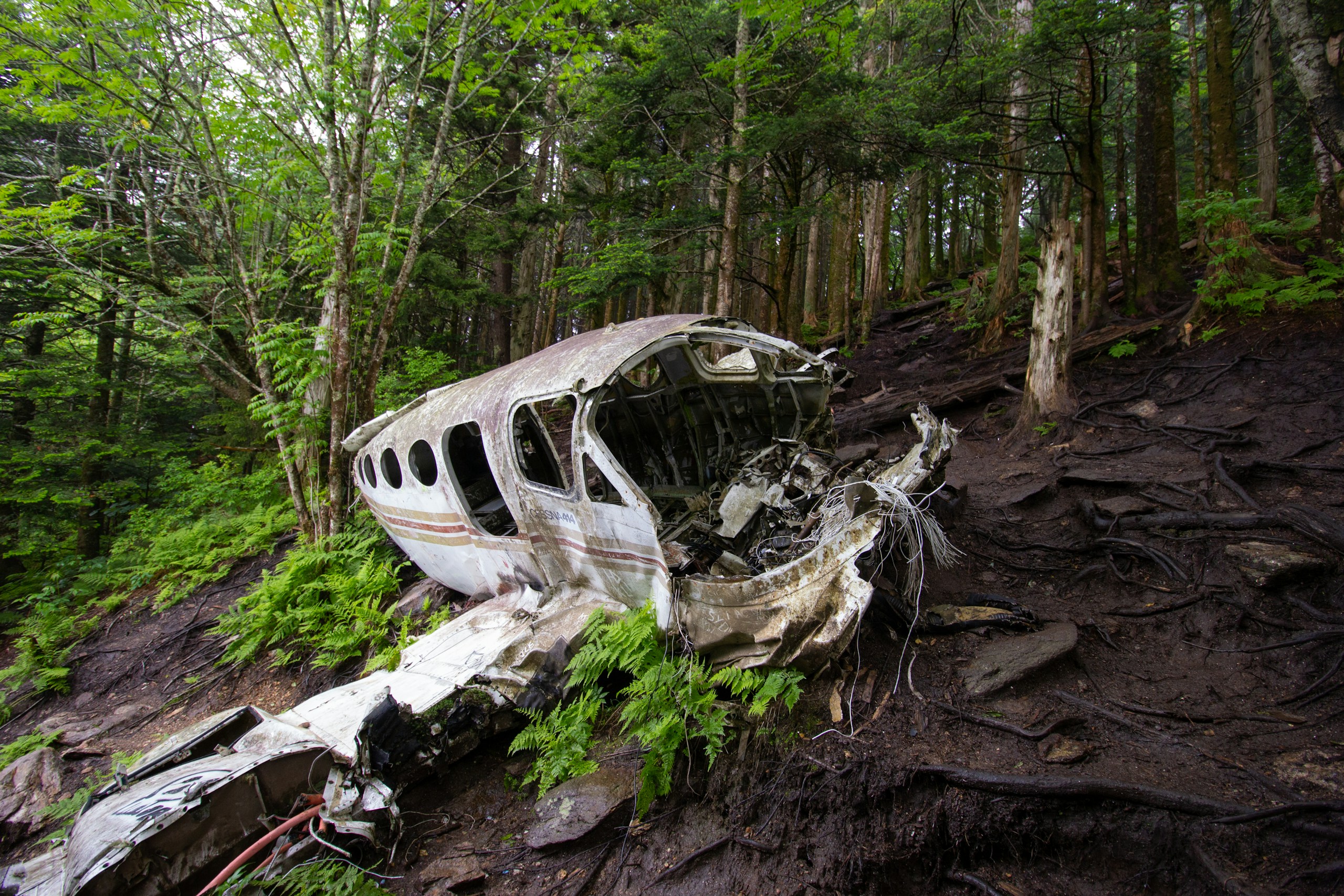 Wrecked small airplane fuselage lying in a dense forest, moss and trees surrounding the ruined wreckage.