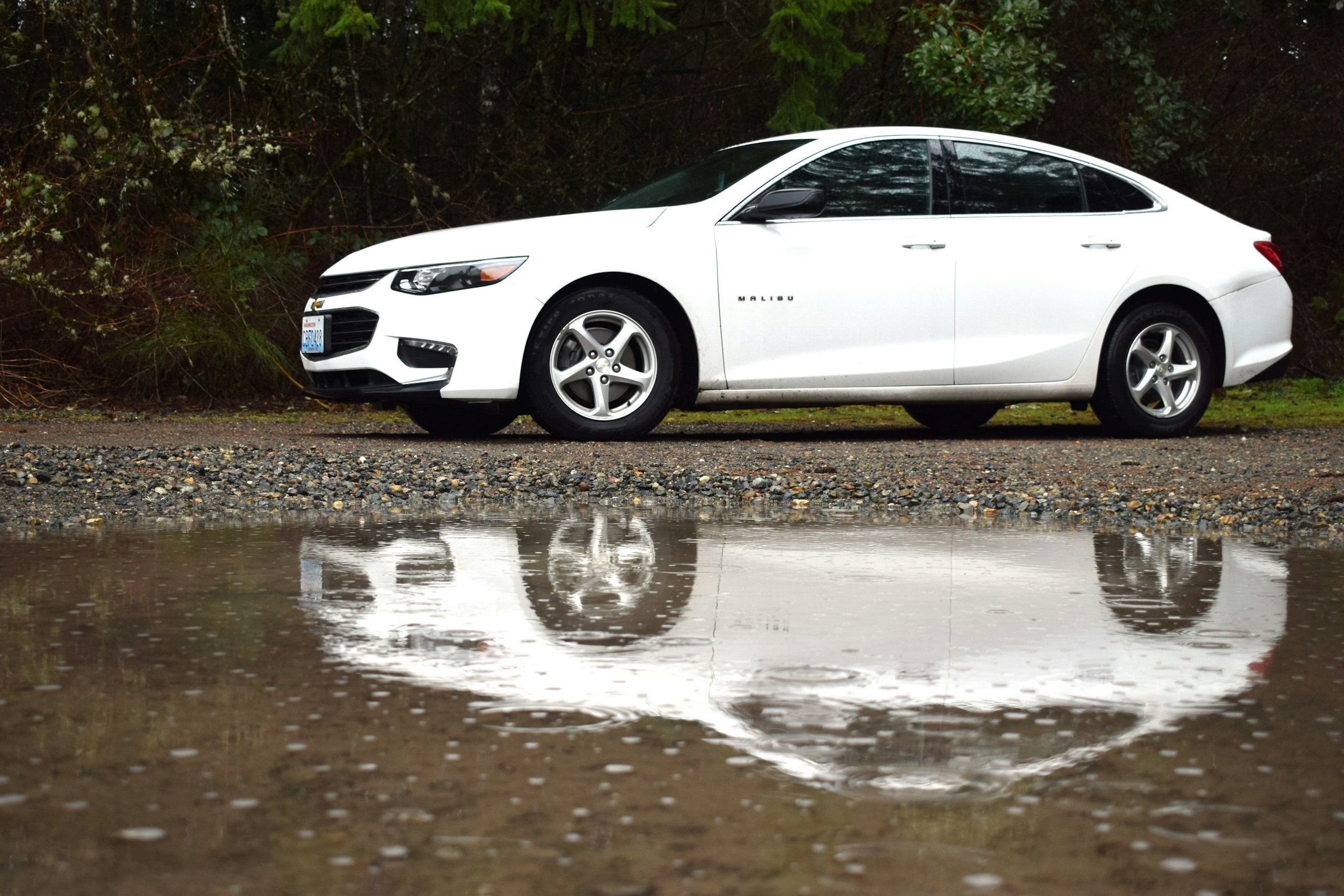 White Chevrolet Malibu sedan parked on a gravel shoreline beside a large puddle, with trees and bushes in the background and its reflection in the water.