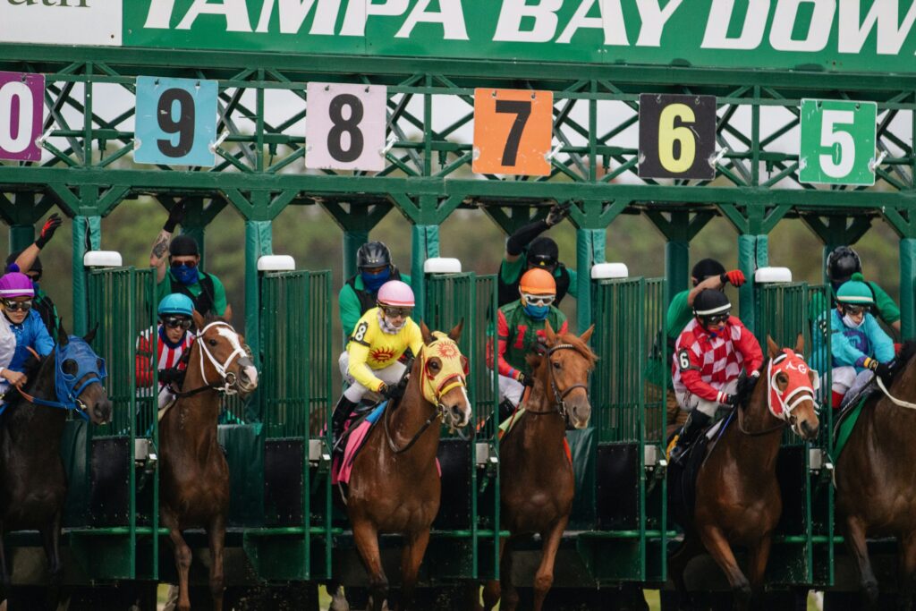 Horses and jockeys launch from the starting gate at a crowded horse race, colorful silks and helmets visible beneath a green framework.