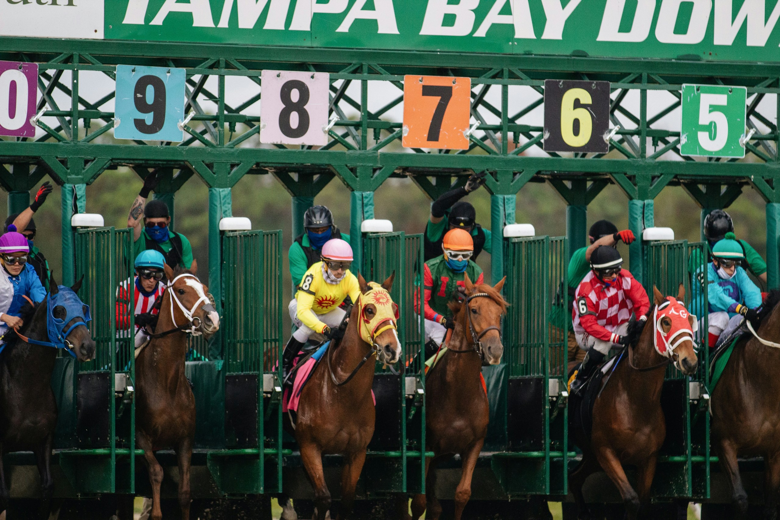 Horses and jockeys launch from the starting gate at a crowded horse race, colorful silks and helmets visible beneath a green framework.