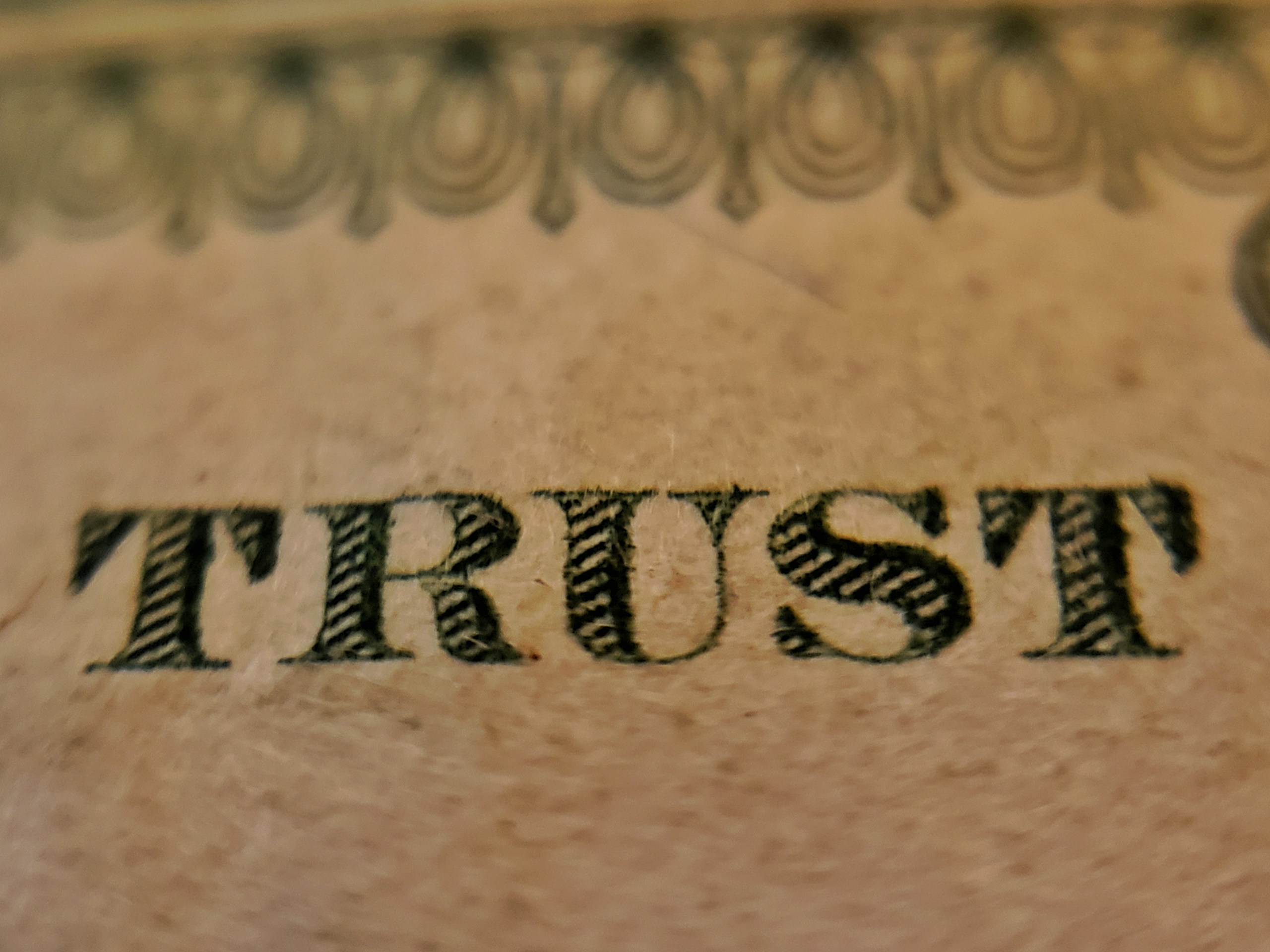Close-up of decorative border on aged paper with a line of large black serif text at the bottom.