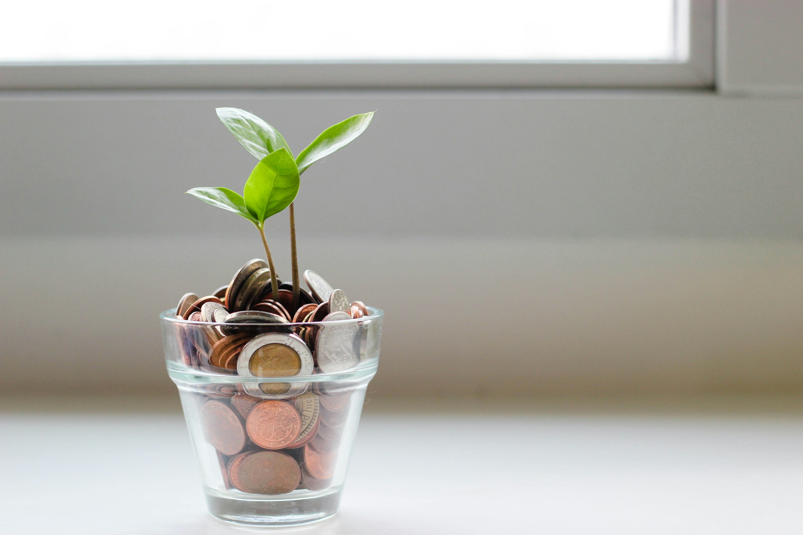 Clear glass filled with coins and a small green sprout growing from the top, symbolizing financial growth.
